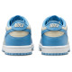 Nike Dunk Low (PSE)